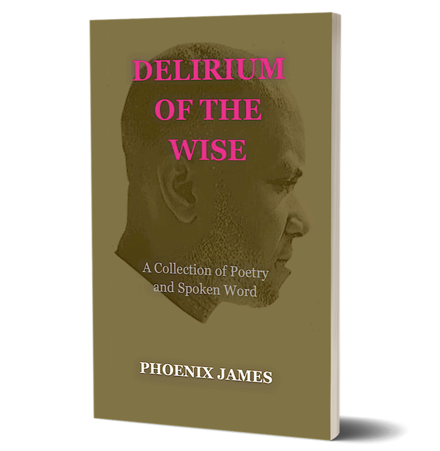 DELIRIUM OF THE WISE (Paperback Book)