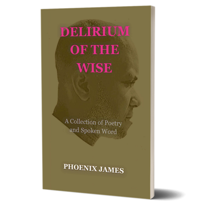 DELIRIUM OF THE WISE (Paperback Book)
