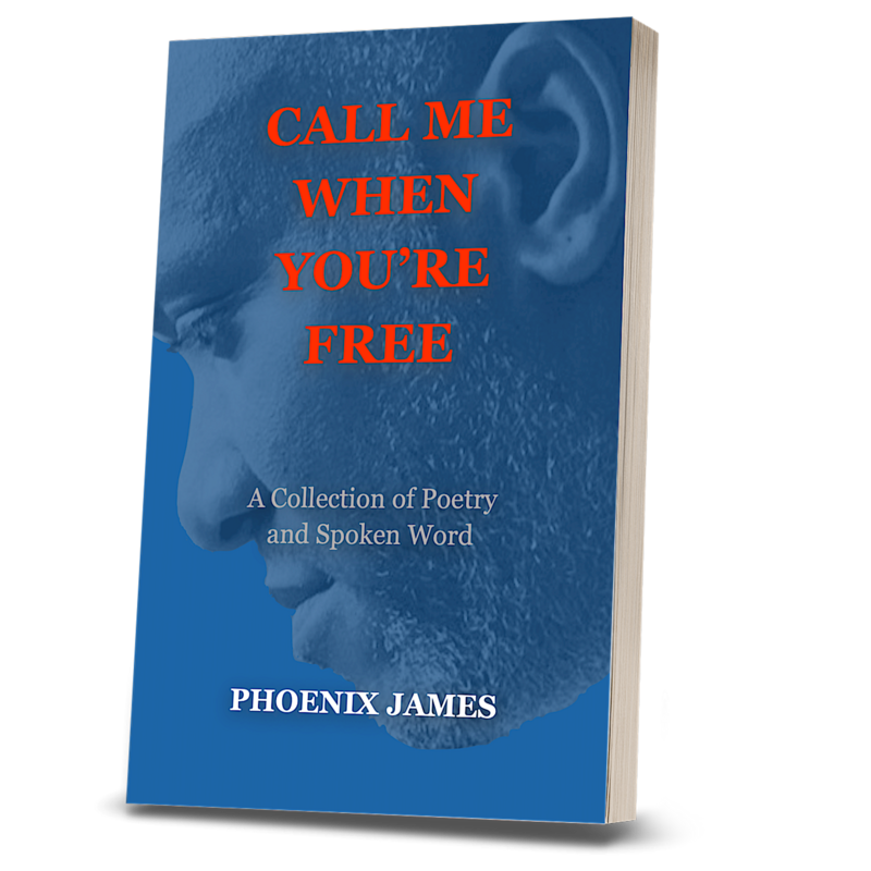 CALL ME WHEN YOU'RE FREE (Paperback Book)