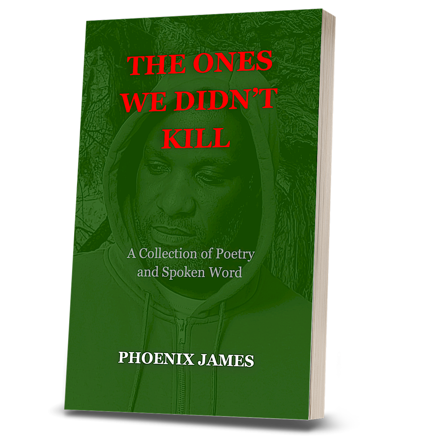 THE ONES WE DIDN'T KILL (Paperback Book)