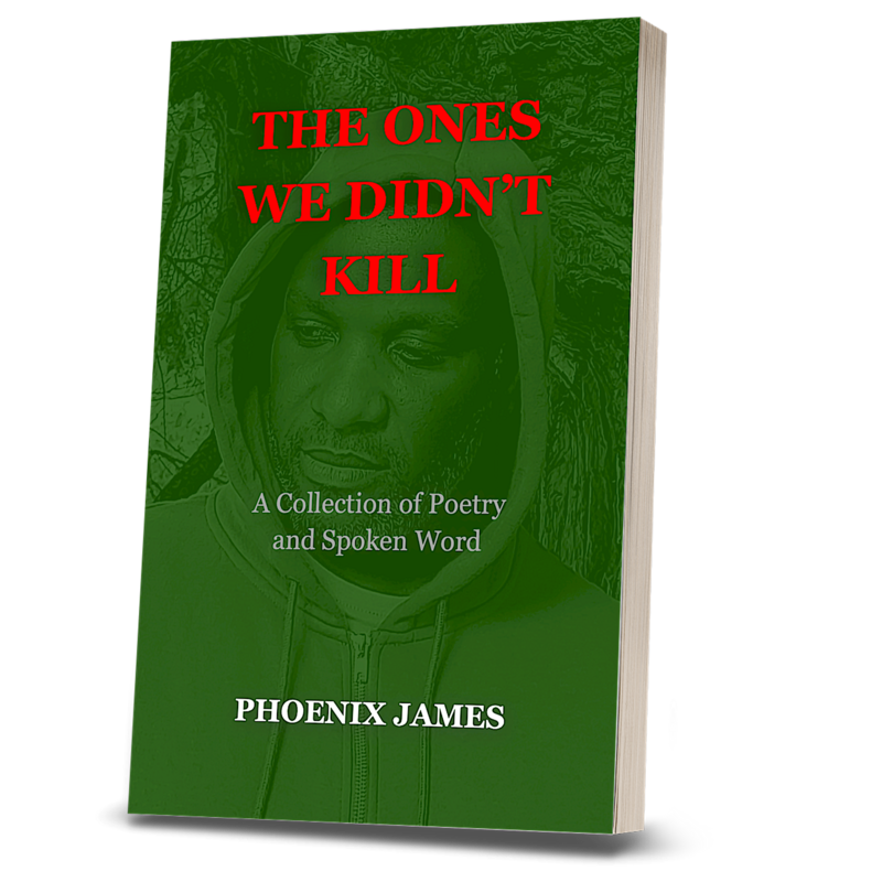 THE ONES WE DIDN'T KILL (Paperback Book)