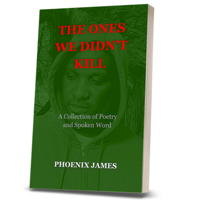 THE ONES WE DIDN'T KILL (Paperback Book)