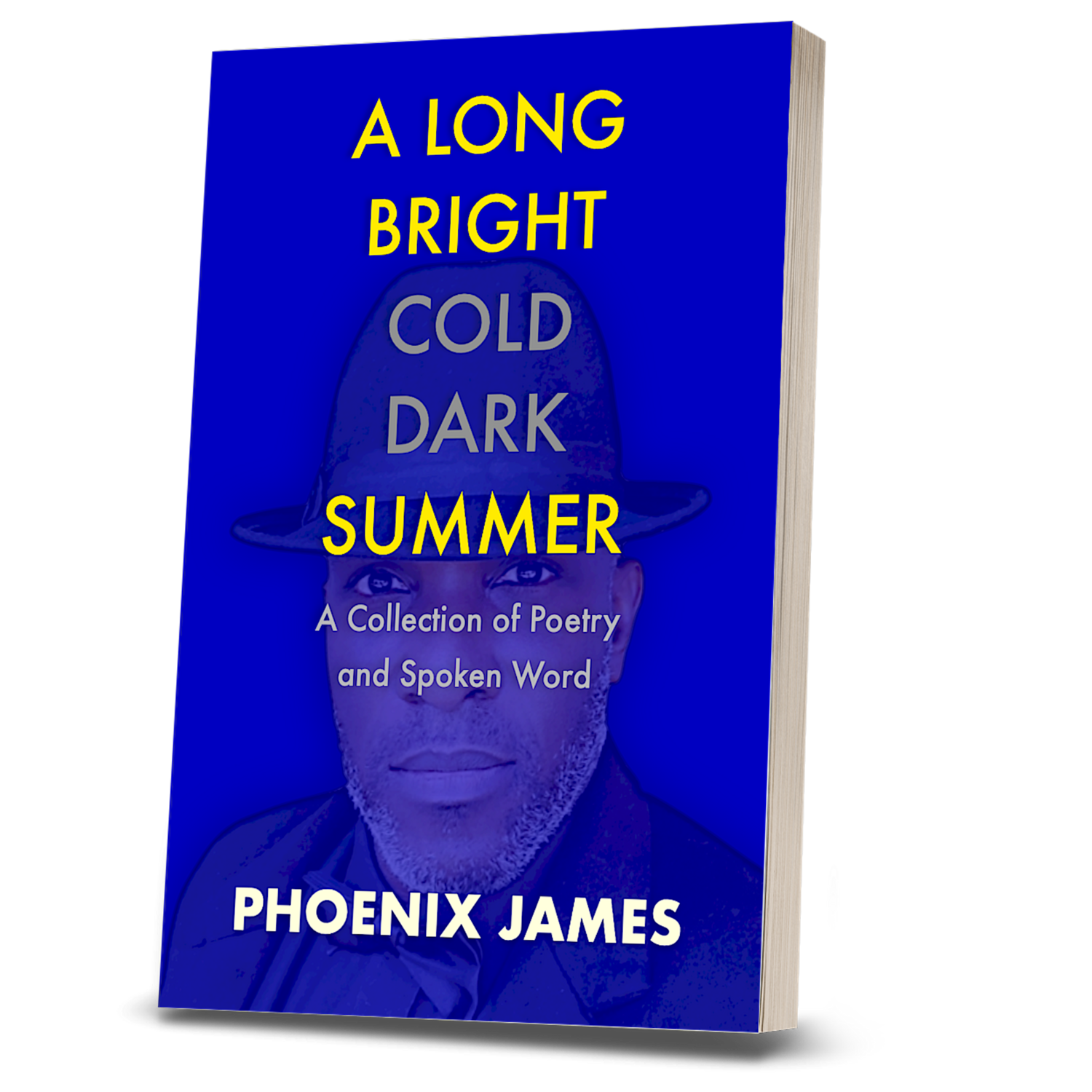 A LONG BRIGHT COLD DARK SUMMER (Paperback Book)