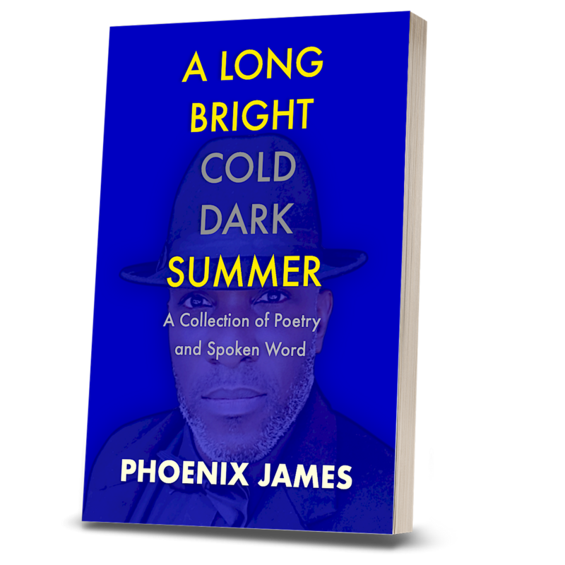 A LONG BRIGHT COLD DARK SUMMER (Paperback Book)