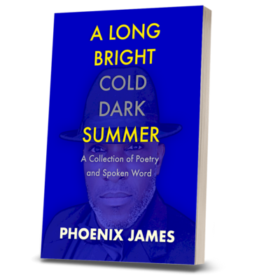 A LONG BRIGHT COLD DARK SUMMER (Paperback Book)