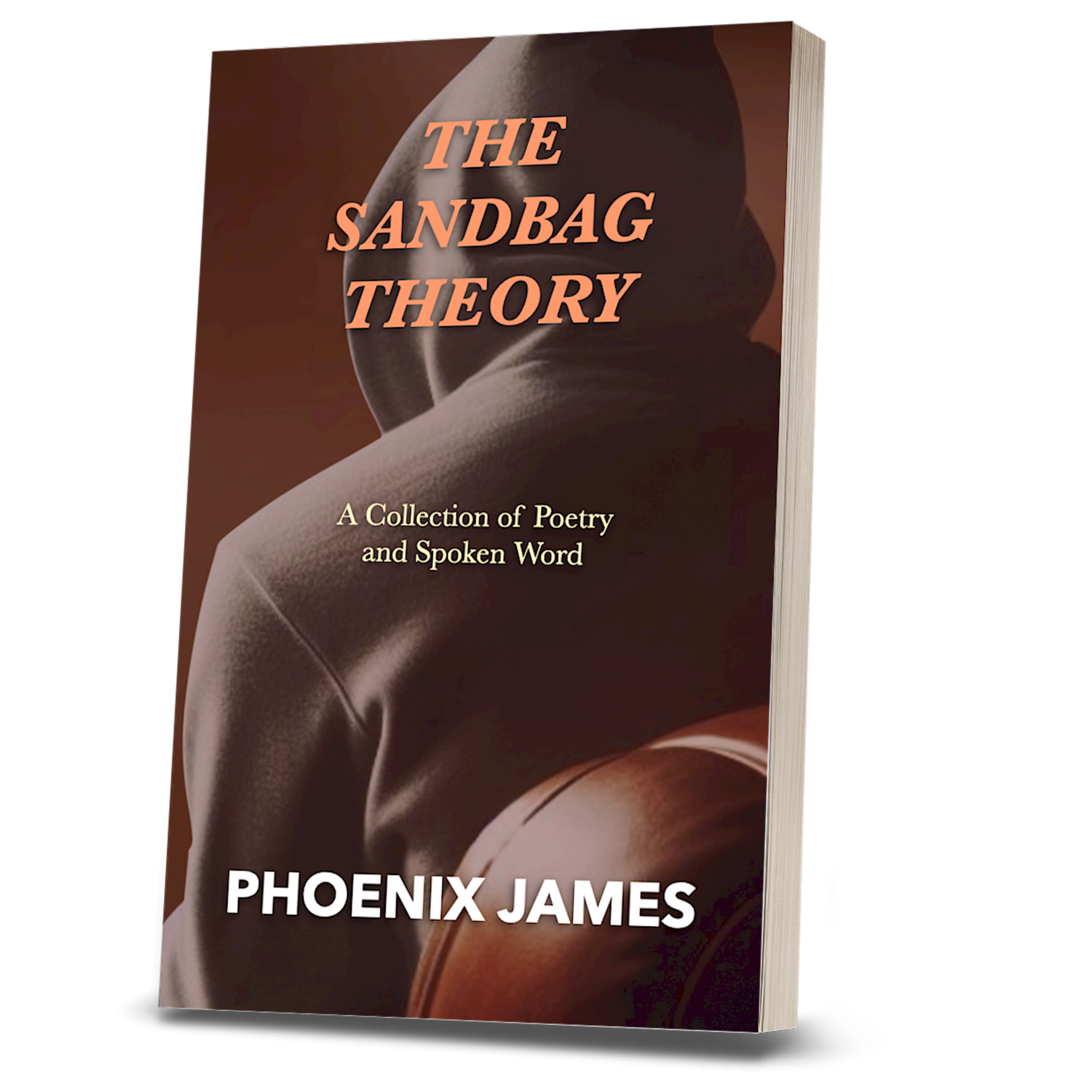 THE SANDBAG THEORY (Paperback Book)