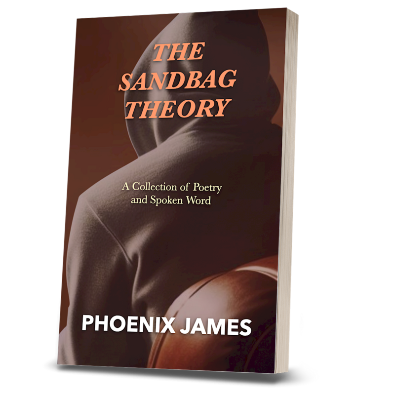 THE SANDBAG THEORY (Paperback Book)