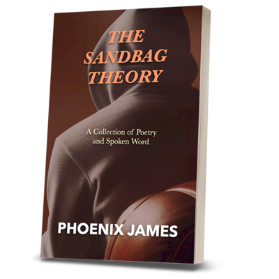 THE SANDBAG THEORY (Paperback Book)