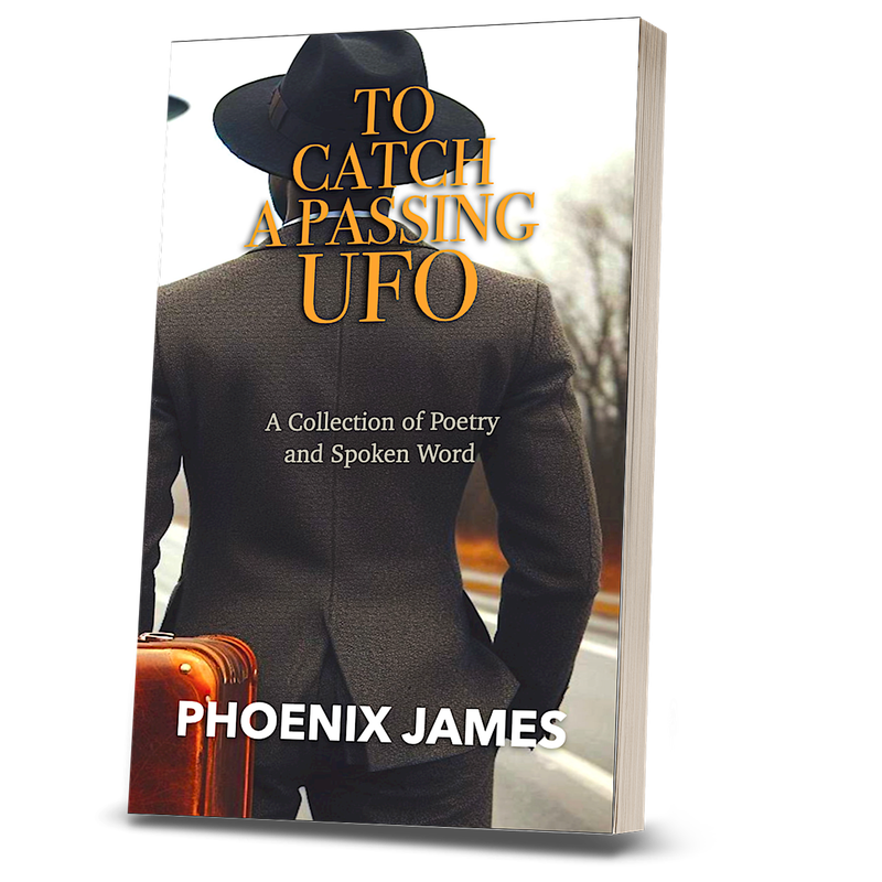 TO CATCH A PASSING UFO (Paperback Book)