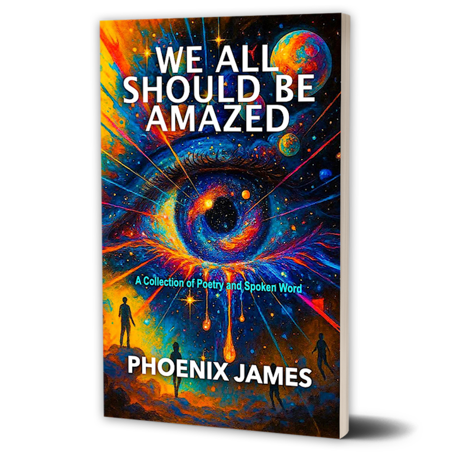 WE ALL SHOULD BE AMAZED (Paperback Book)