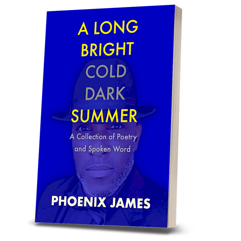 A LONG BRIGHT COLD DARK SUMMER (Paperback Book) A LONG BRIGHT COLD DARK SUMMER (Paperback Book)