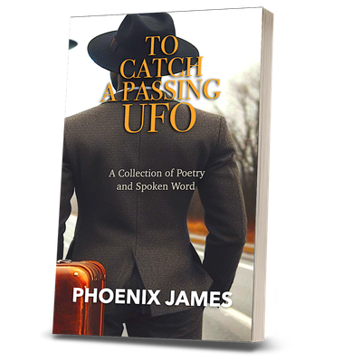 TO CATCH A PASSING UFO (Paperback Book)