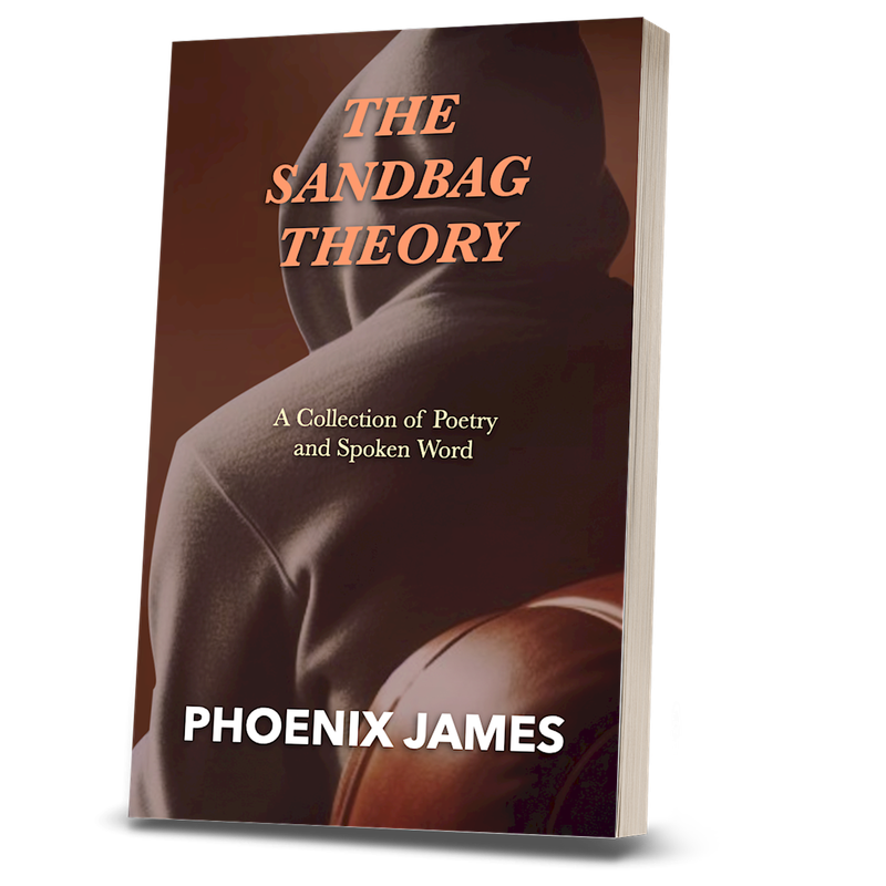 THE SANDBAG THEORY (Paperback Book) THE SANDBAG THEORY (Paperback Book)