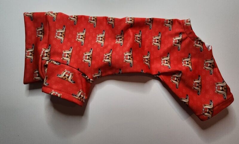 Pyjamas york fond rouge