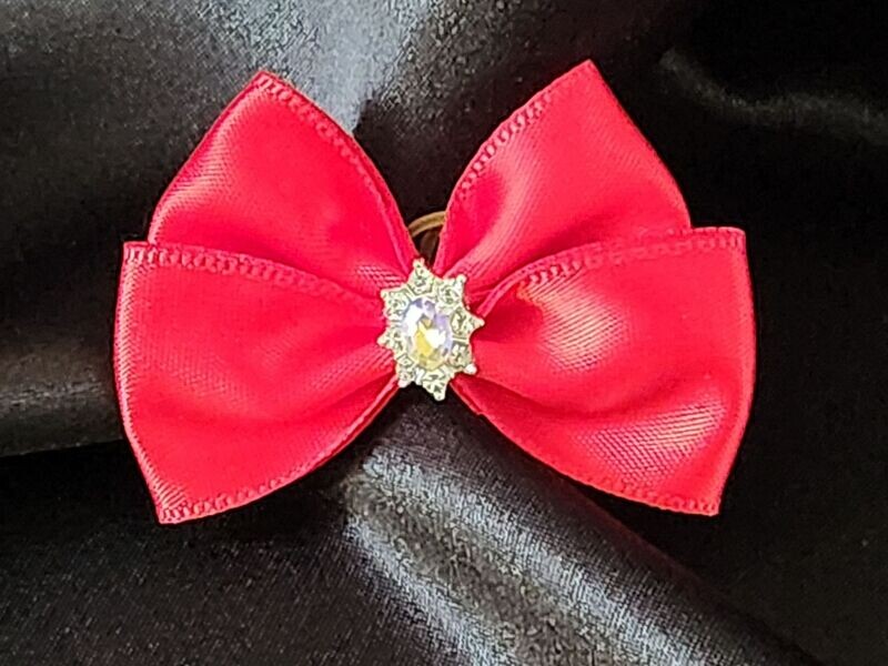 Noeud papillon