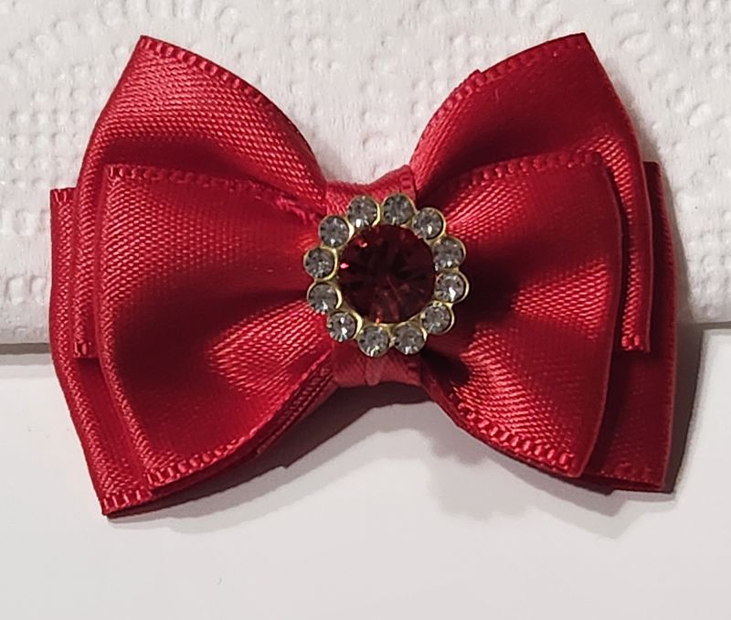 Noeud papillon rouge