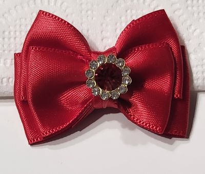 Noeud papillon rouge Noeud papillon rouge