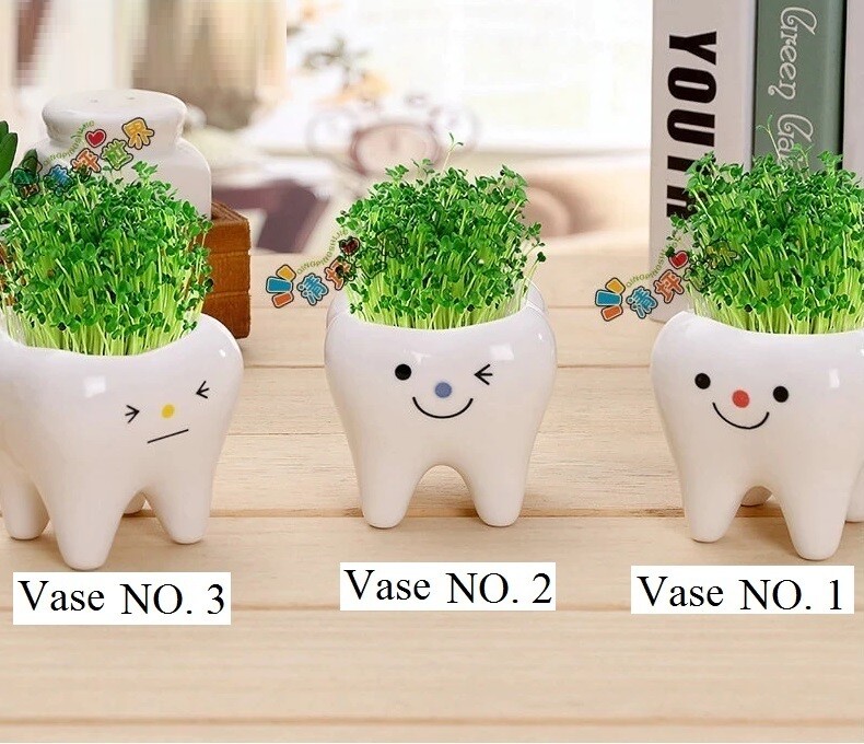 Tooth Vase