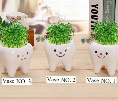 Tooth Vase