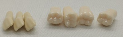 Acrylic teeth