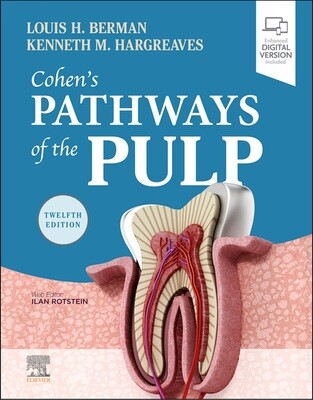 Pathways of the pulp