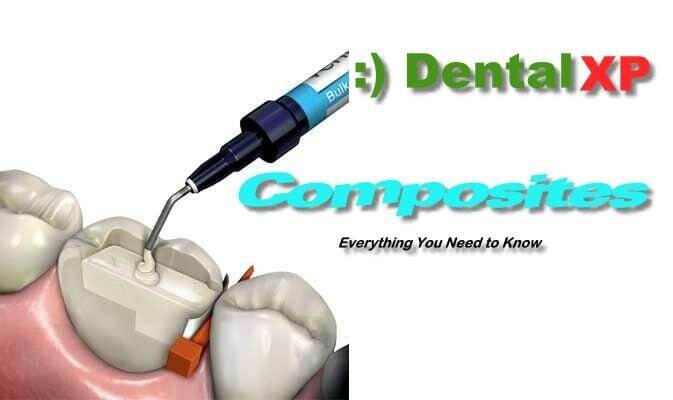 DentalXP Composites, Everything You Need to Know