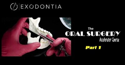 Exodontia The Oral Surgery Accelerator Course