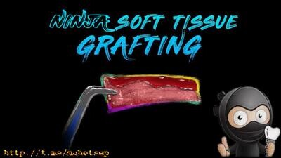 Ninja Soft Tissue Grafting