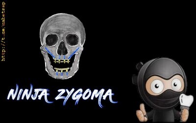 Ninja Zygoma