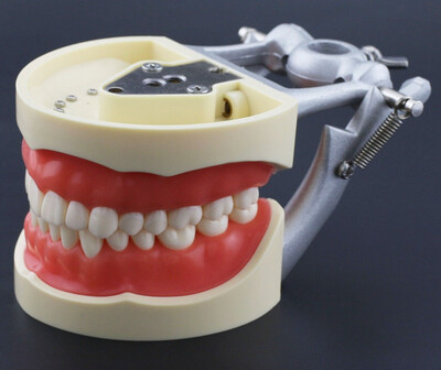 Restorative Training Model