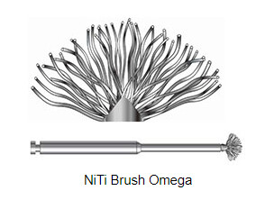 Implant Titanium Brush