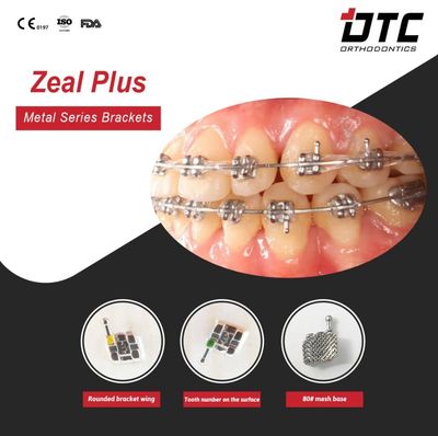 Zeal+ series - DTC