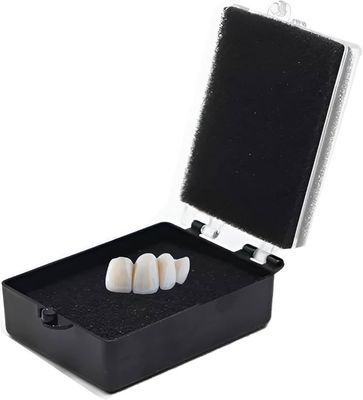 Lab Teeth Box