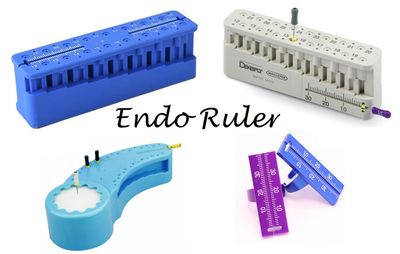 Endo Ruler