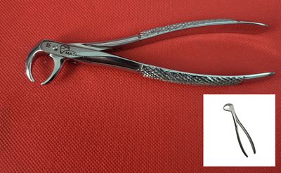 Extraction Forceps