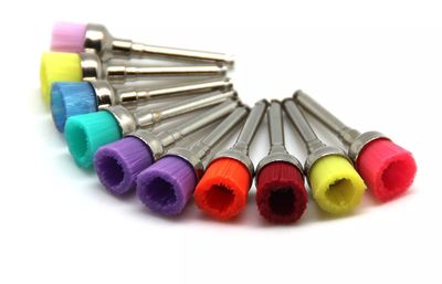 Prophy Brush