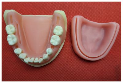 Dental Suturing Model Kit