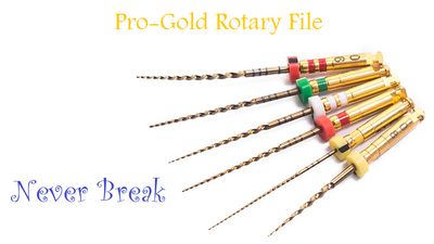 Pro-Gold Rotary File