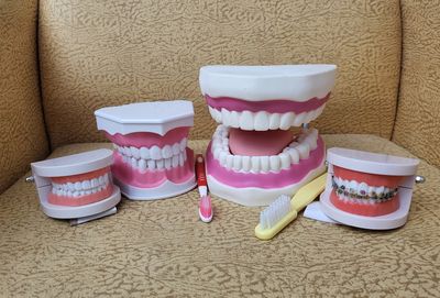 Teeth Model