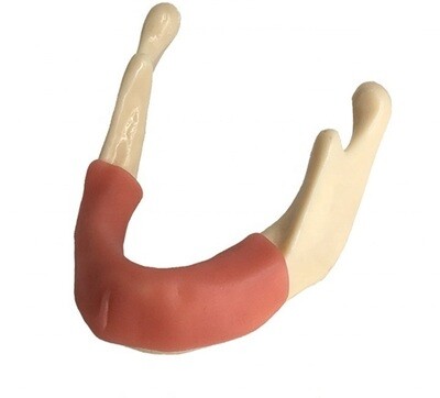 Implant Training Model