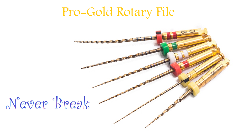 Pro-Gold Rotary File