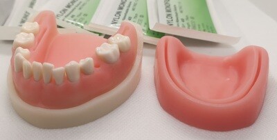 Dental Suturing Model Kit