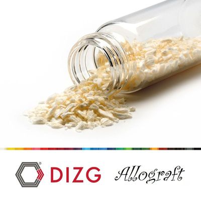 Bone Graft