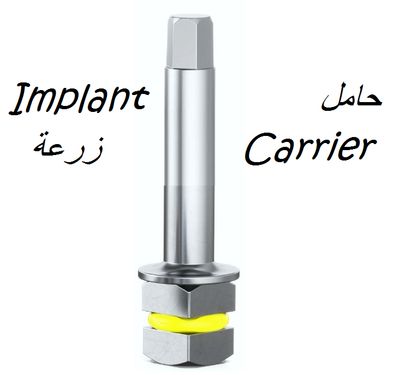 Implant Carrier