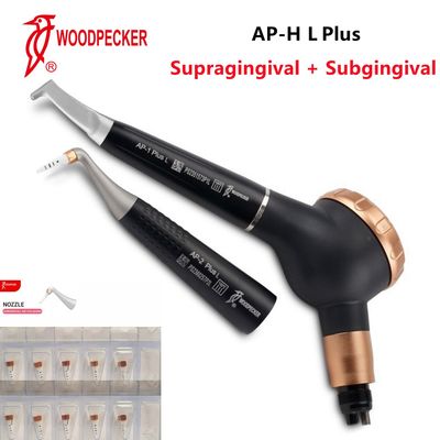 AP-H Plus Polisher