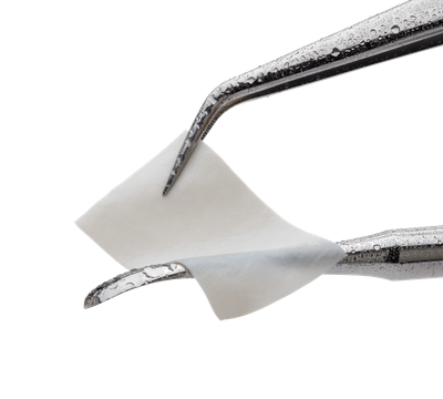 Pericardium membrane