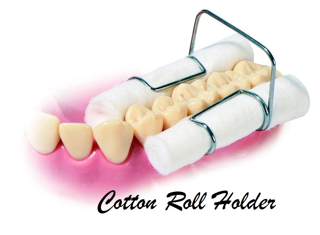 Cotton roll holder