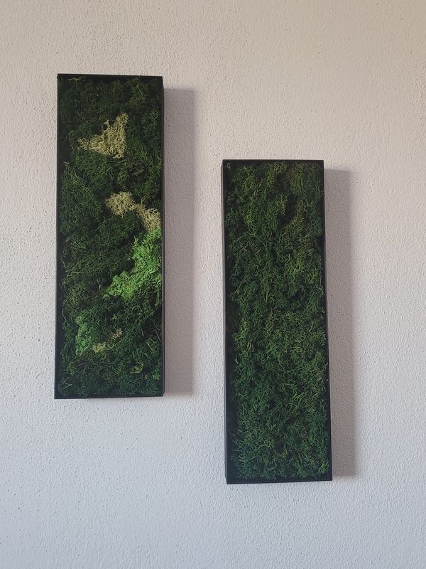 Moosbild 2er Set
