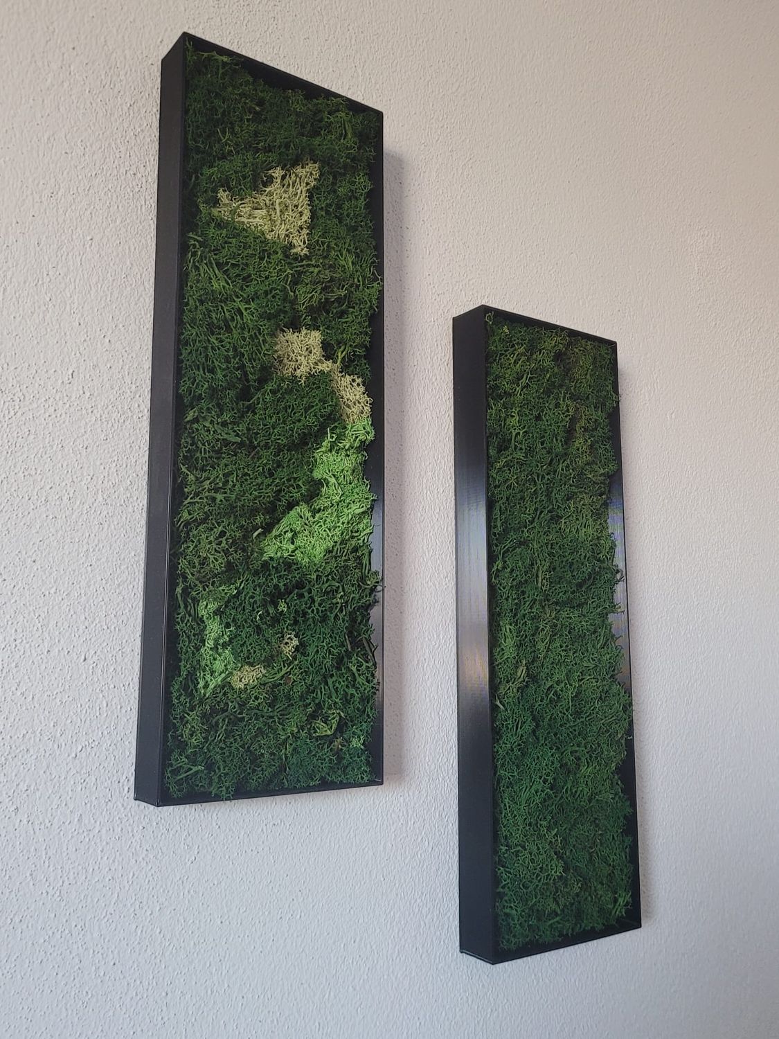 Moosbild 2er Set
