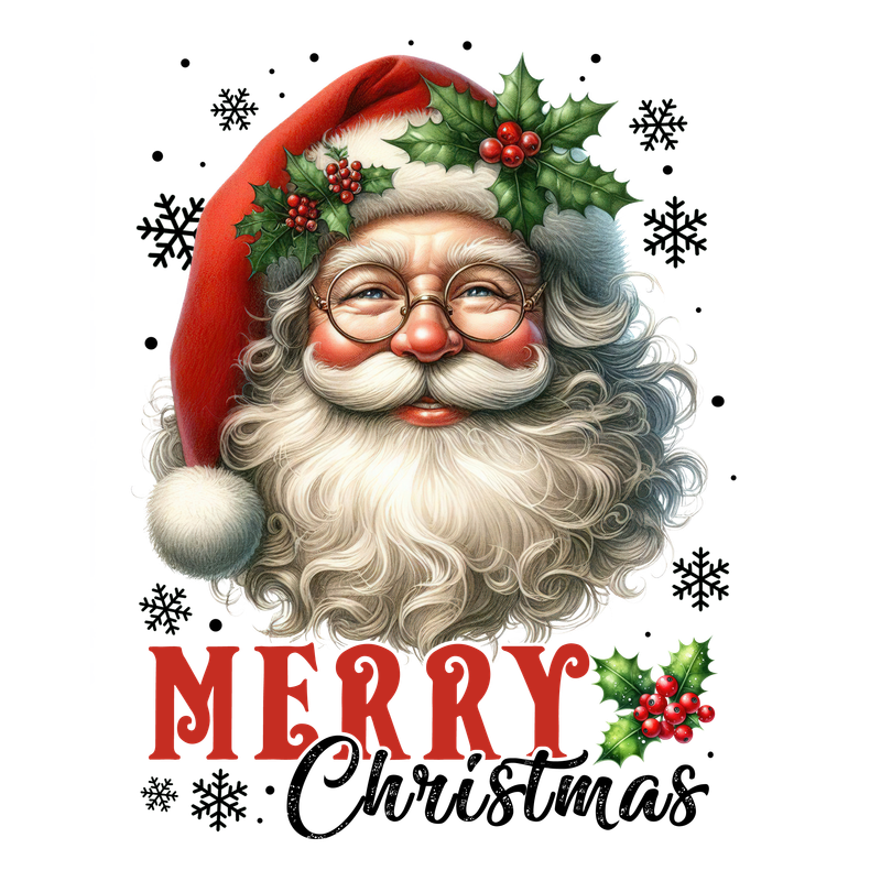 Santa Merry Christmas